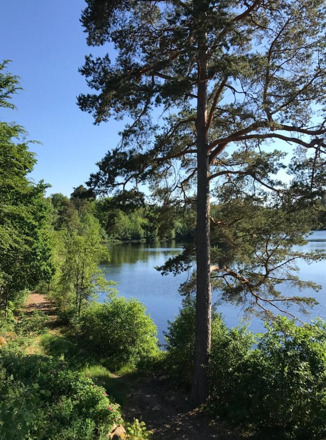 Stenhaella Bed&Breakfast Holmsjö Dış mekan fotoğraf